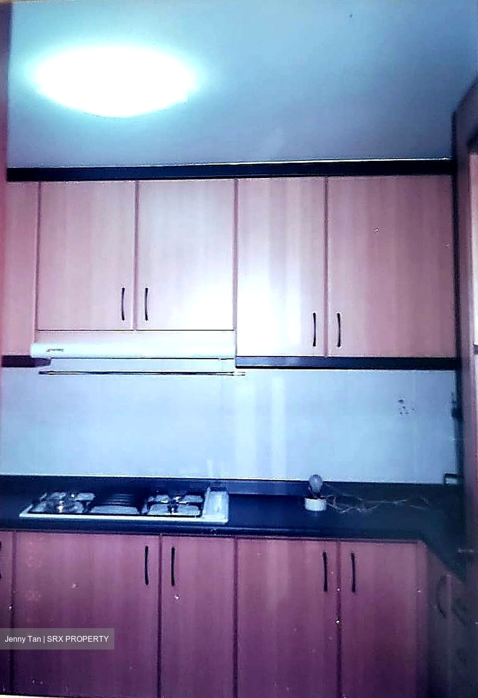 Palm Gardens (D23), Condominium #575365611